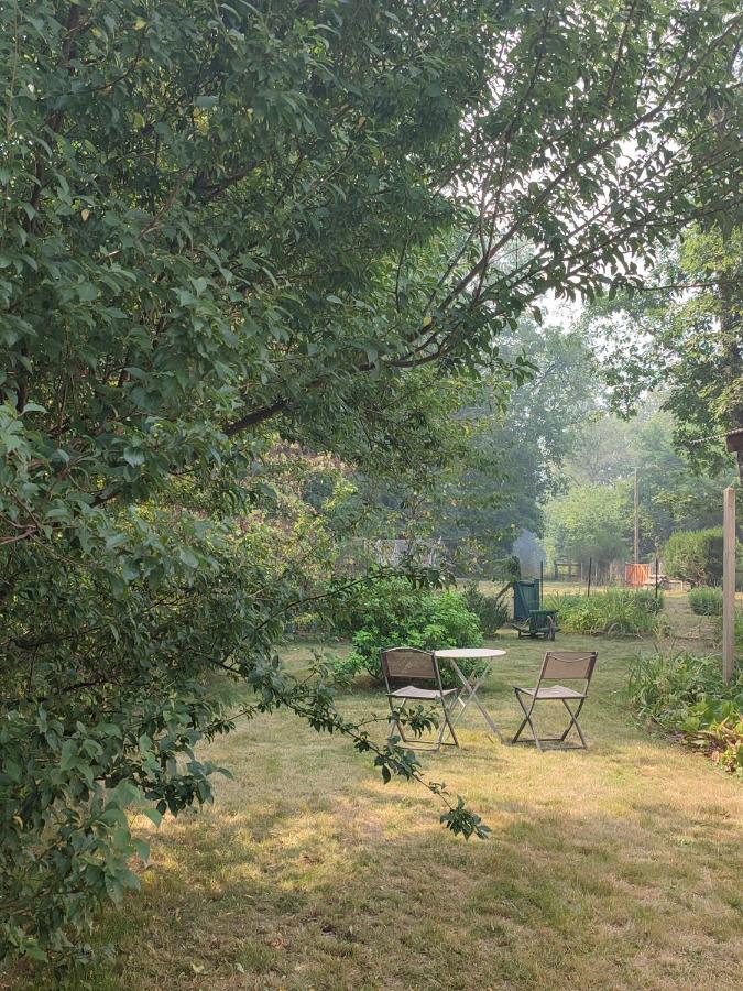 Chalet Dans La Foret....Adorable 1 Bedroom Chalet Surrounded By Woodland Pressignac Exterior foto
